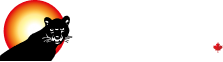 Supermax Logo