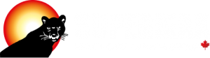 Logo Supermax Healthcare Group